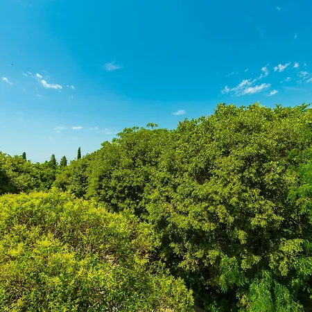 Apartamento Hedera Estate, Hedera A1