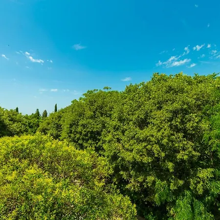 Hedera Estate, Hedera A1 شقة *