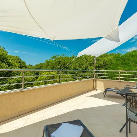 Hedera Estate, Hedera A1 Διαμέρισμα