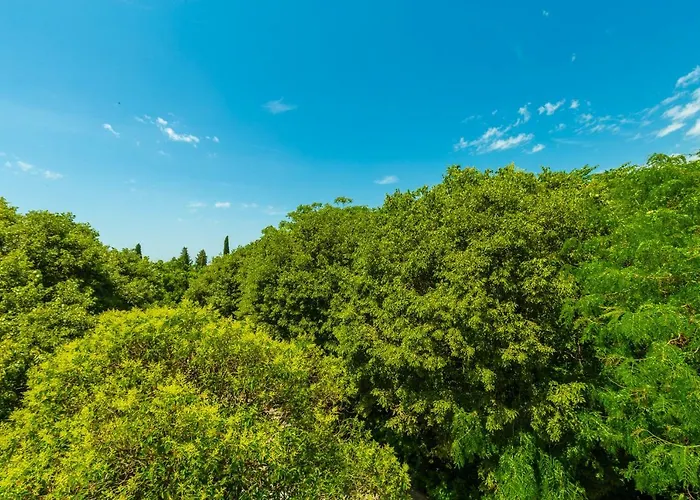 Hedera Estate, Hedera A1 Διαμέρισμα *